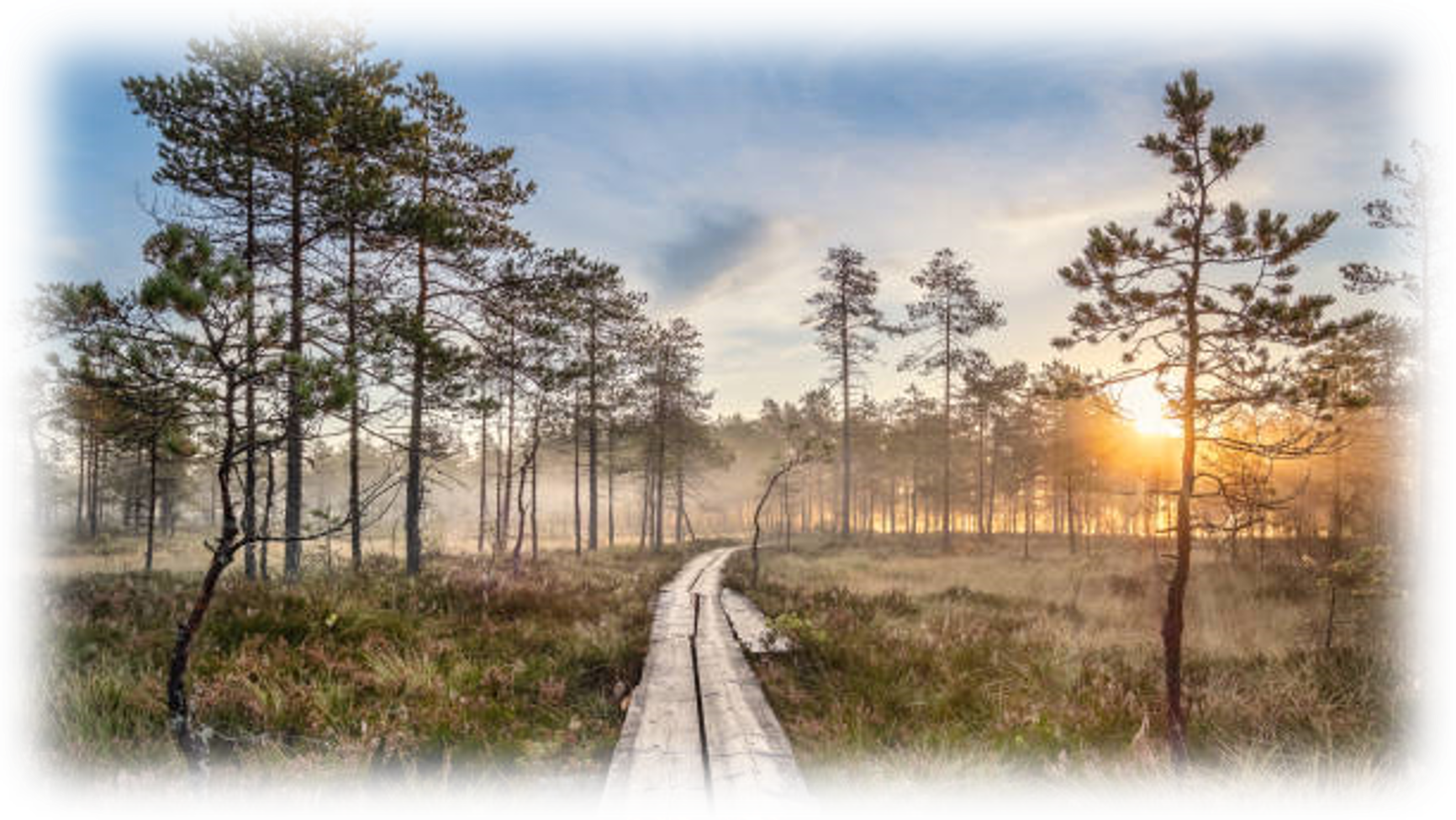 Pitkospuut väri Pitkospuut väri